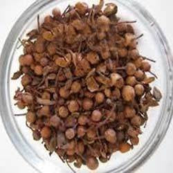 Nagkesar- Miraculous Evergreen herb