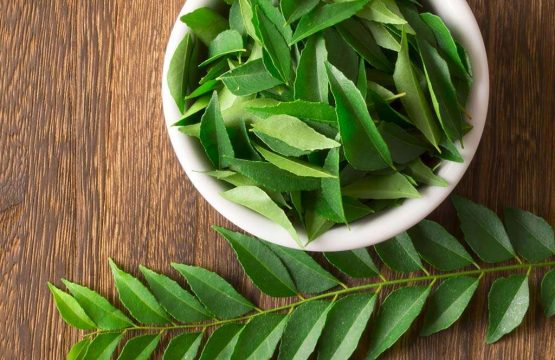 Health benefits of Curry Patta leaves