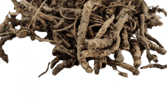 Kutki - Another magical ayurvedic herb!