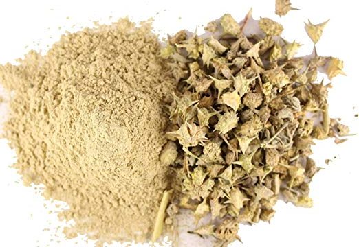 गोखरु पाउडर के फायदे "Benefits of Gokharu Powder"