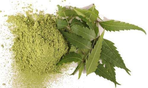 The magical neem leaf/patra and its miraculous health benefits
