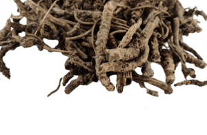 Kutki: The Magical Ayurvedic Herb for Liver & Immunity