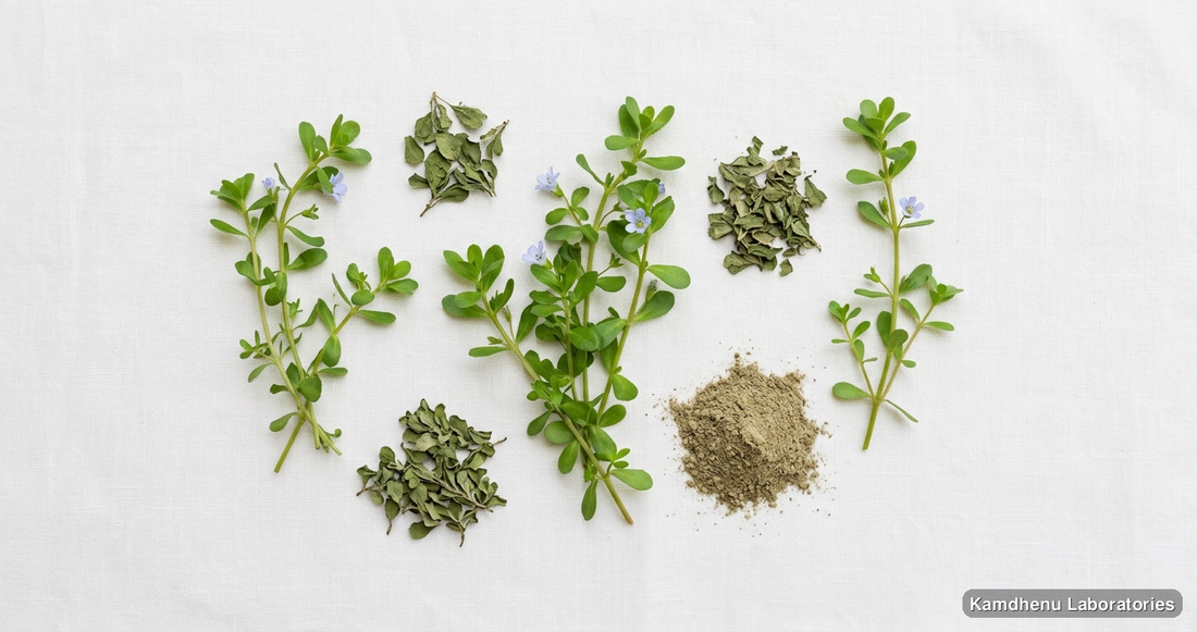 Ajmodadi Ayurvedic Churna — Ayurvedic powder containing brahmi. Clean product photograph on a soft light background.