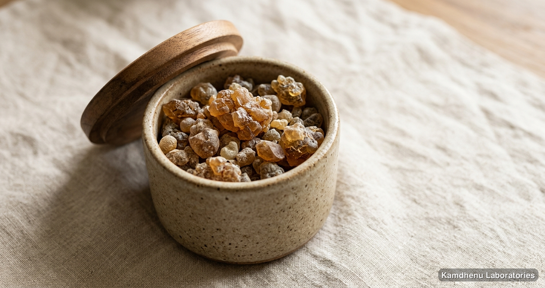 Ayurvedic product — Babool Gum Sabut (400 g), photographed in a wellness setting