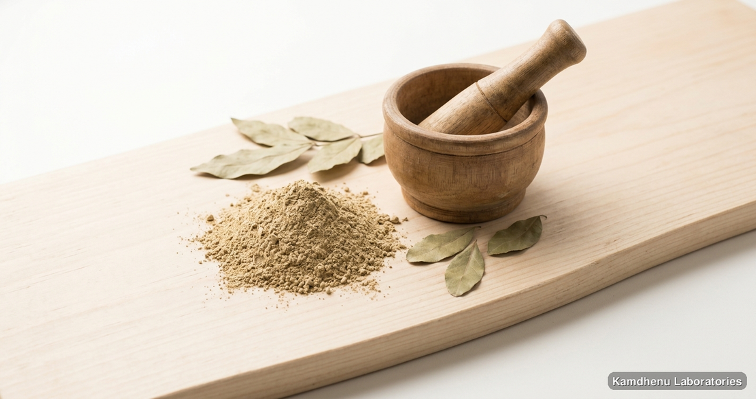 Babool Patti ( Acacia arabica ) leaves Powder — Ayurvedic powder. Clean product photograph on a soft light background.