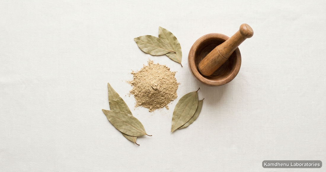 Babool Phali Powder — 250 GM — Ayurvedic powder. Clean product photograph on a soft light background.