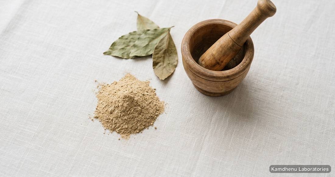 Chitrak Haritaki Avaleha — Ayurvedic paste. Clean product photograph on a soft light background.