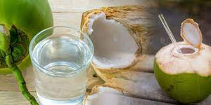 नारियल पानी है वरदान...एंटीऑक्सिडेंट्स और मिनरल्स से भरा नारियल पानी...