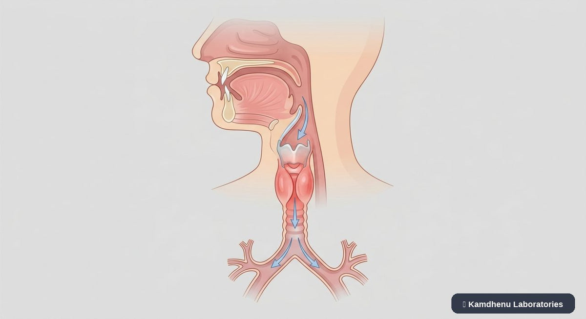 Editorial illustration representing Croup for the Kamdhenu Laboratories educational wellness blog.