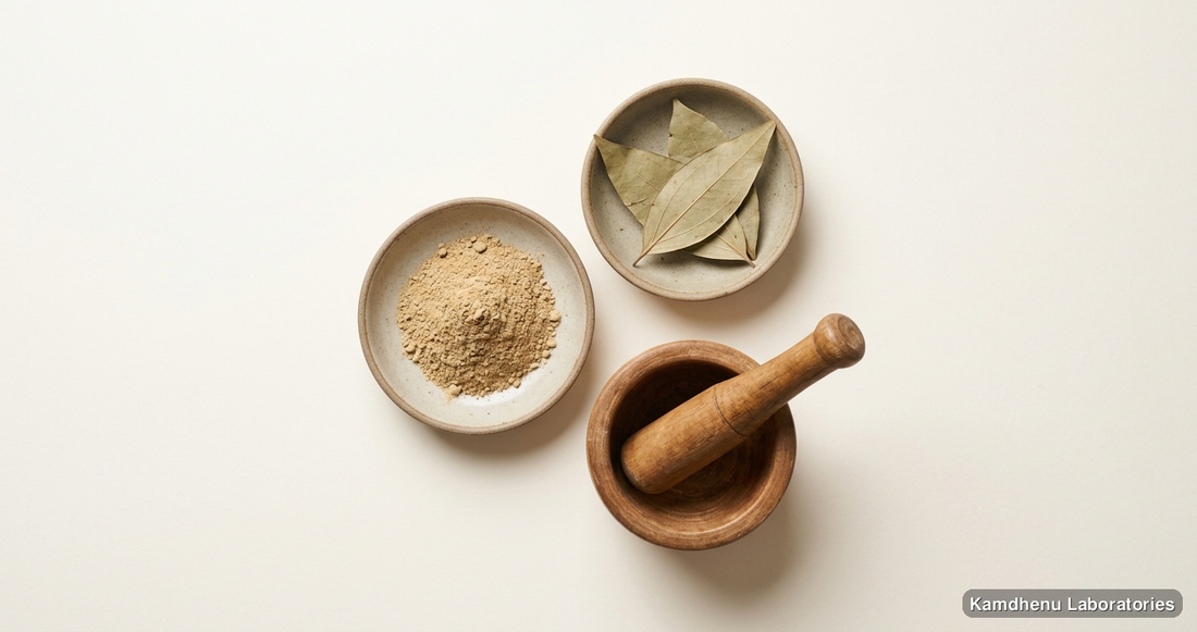 Dalchini Powder — Ayurvedic powder. Clean product photograph on a soft light background.