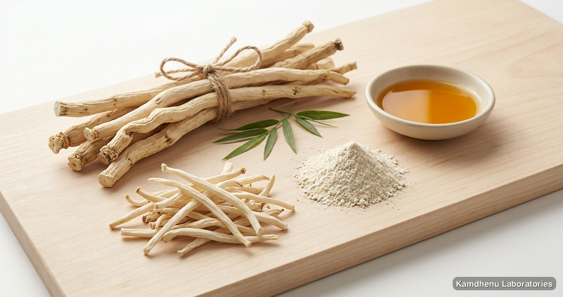 Dhatupaushtik Churna — Ayurvedic powder containing shatavari, safed musli. Clean product photograph on a soft light background.