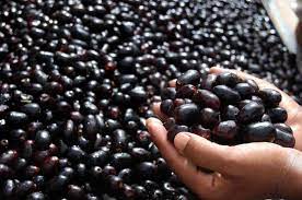 Jamun- 'Fruit of Gods'