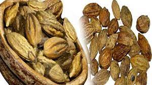 Harad Choti or Haritaki - The king of herbs