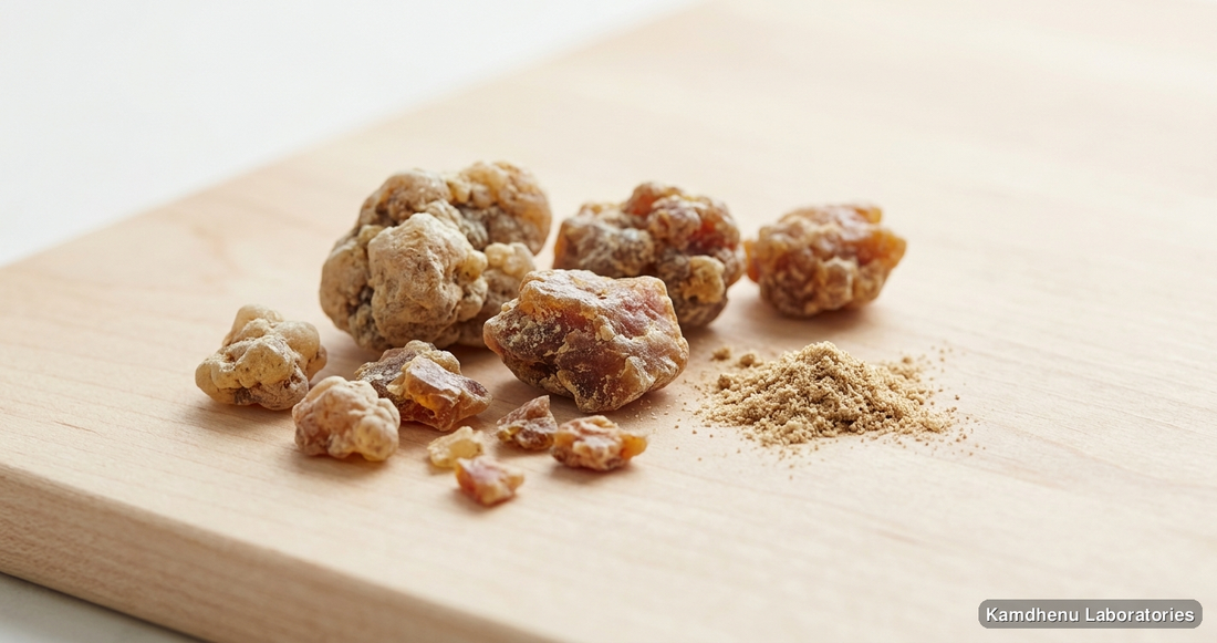 Drakshavaleha — Ayurvedic paste containing hing. Clean product photograph on a soft light background.