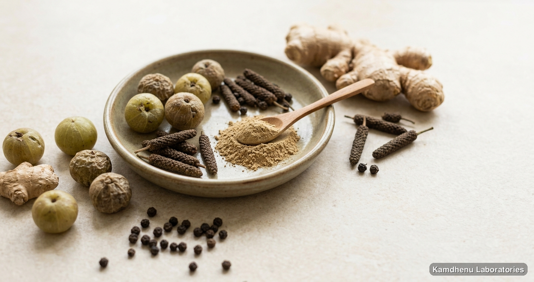 reputed Ayurvedic manufacturers Avipattikar Churna — 250 Gm & 100 Gm — Ayurvedic powder containing amla, ginger, pippali. Clean product photograph on a soft light background.