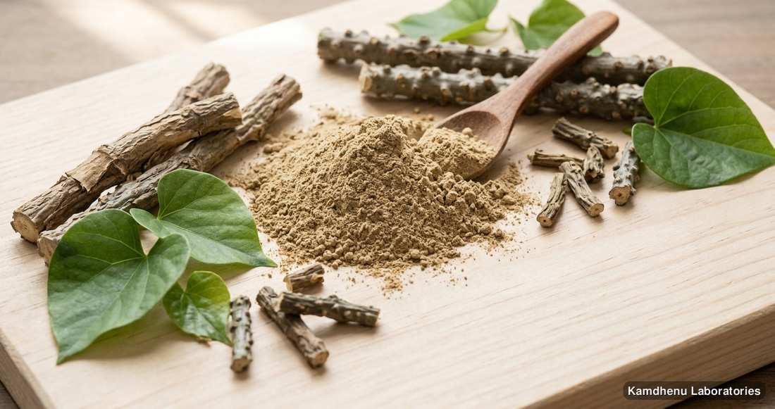 Giloy Powder — Ayurvedic powder containing giloy. Clean product photograph on a soft light background.