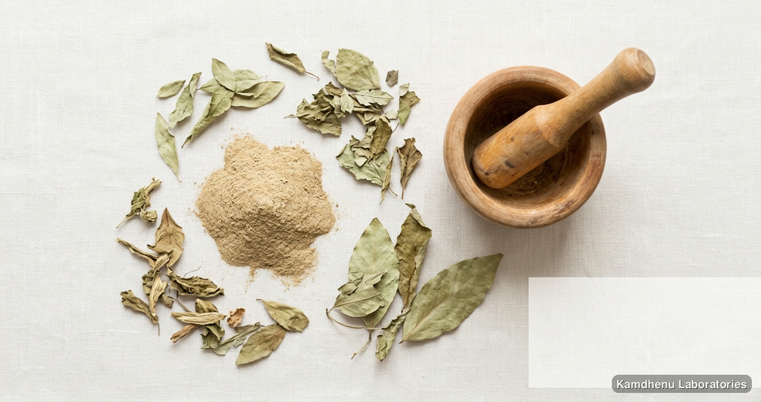 Gokhru Powder — Ayurvedic powder. Clean product photograph on a soft light background.