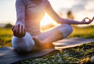 Healthy Living with Ayurveda | Kamdhenu Laboratories Wellness Tips