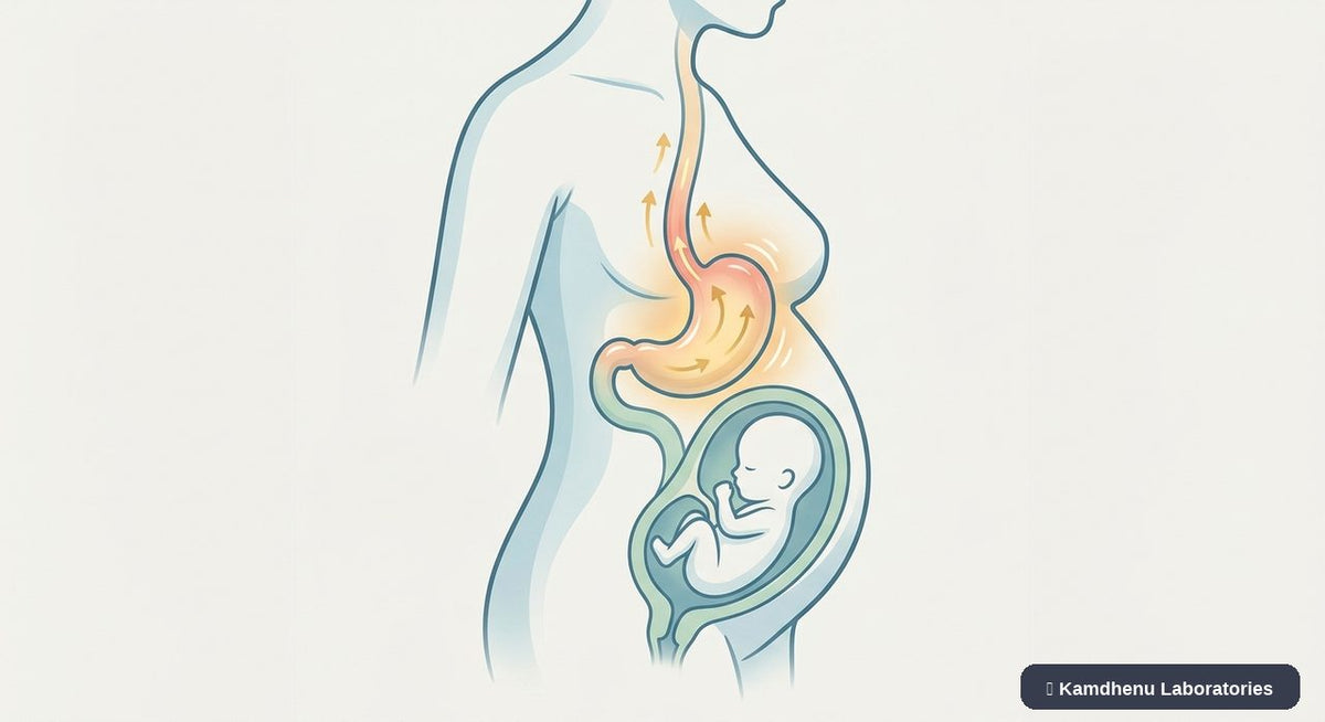 Editorial illustration representing Hyperemesis gravidarum for the Kamdhenu Laboratories educational wellness blog.