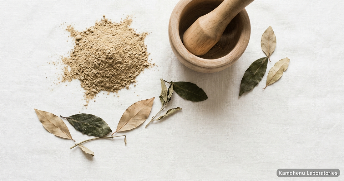 Kamdev Churna 250 Gm and 100 Gm — Ayurvedic powder. Clean product photograph on a soft light background.