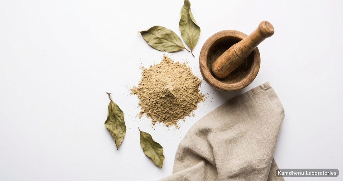 Kaunch Seed ( Mucuna pruriens ) & Babool Phali Powder ( Acacia arabica ) — 250 g each — Ayurvedic powder. Clean product photograph on a soft light background.