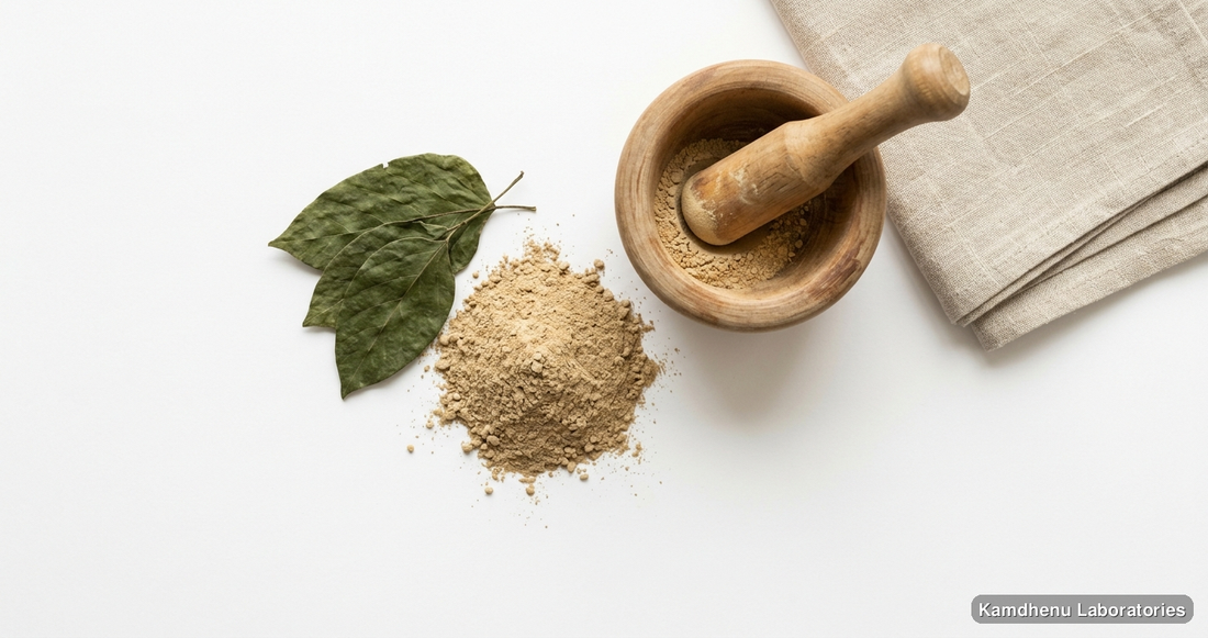 Kounch Seed Powder (Mucuna Pruriens) — Ayurvedic powder. Clean product photograph on a soft light background.