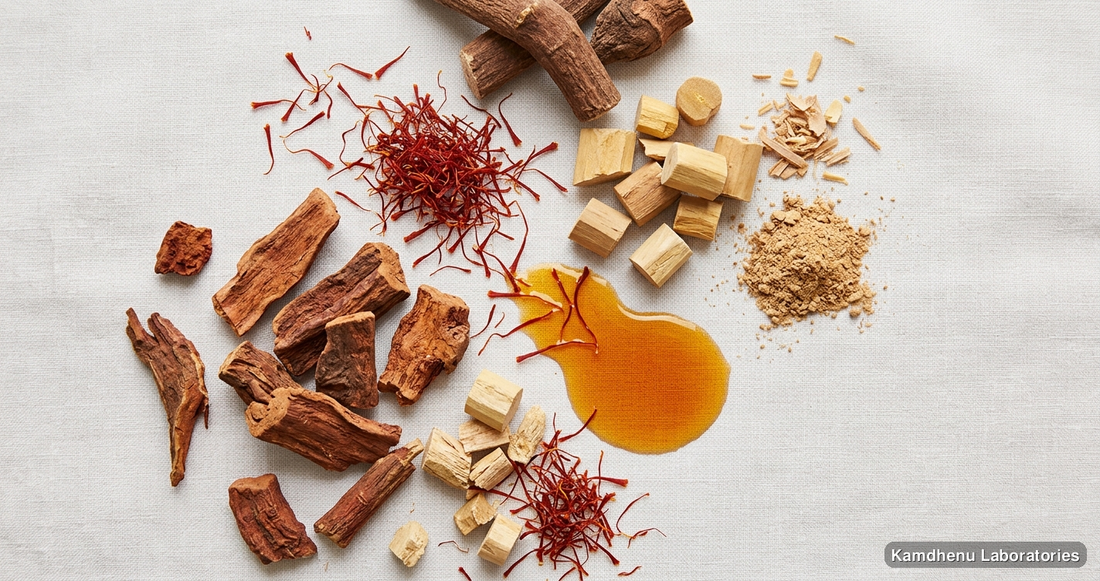 Kumkumadi Taila | 30 ml (Pack of 3) — Ayurvedic oil containing manjistha, chandan, sandalwood. Clean product photograph on a soft light background.