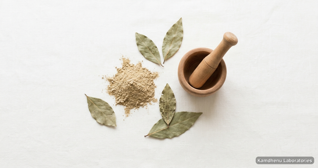 Kutki Powder — Ayurvedic powder. Clean product photograph on a soft light background.