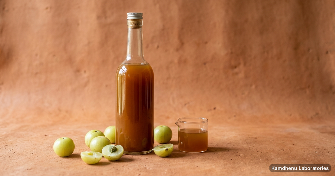 Ayurvedic juice — Madhu Amla Rasayan | 500GM featuring amla, photographed in a wellness setting