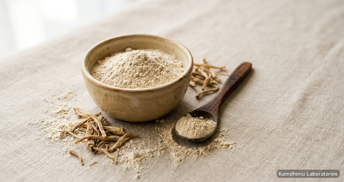 Ayurvedic powder — Musli Powder featuring safed musli, photographed in a wellness setting