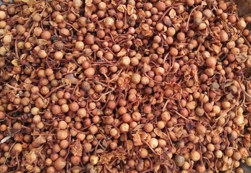 Nagkesar herb powder and flower