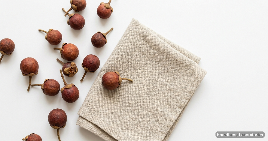 Nagkesar Powder — Ayurvedic powder containing kesar. Clean product photograph on a soft light background.
