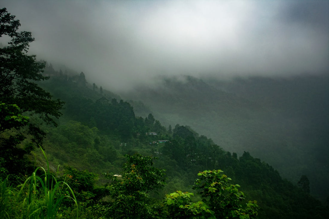 बदलते मौसम की प्राकृतिक दृश्यावली — 'रूटीन डिस्रप्शन/जेट लैग' विषय पर स्वस्थ जीवनशैली लेख का चित्र
