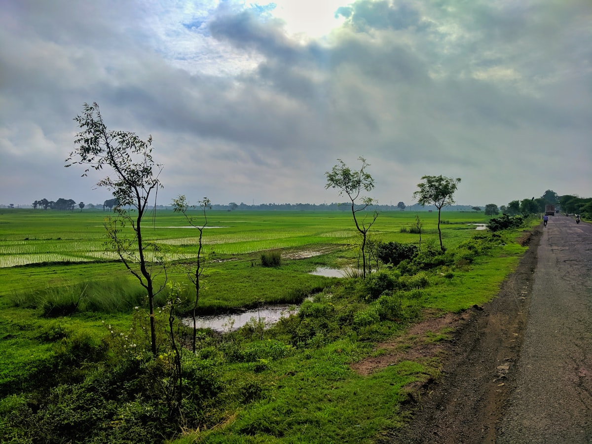 बदलते मौसम की प्राकृतिक दृश्यावली — 'वसंत ऋतु वेलनेस' विषय पर स्वस्थ जीवनशैली लेख का चित्र
