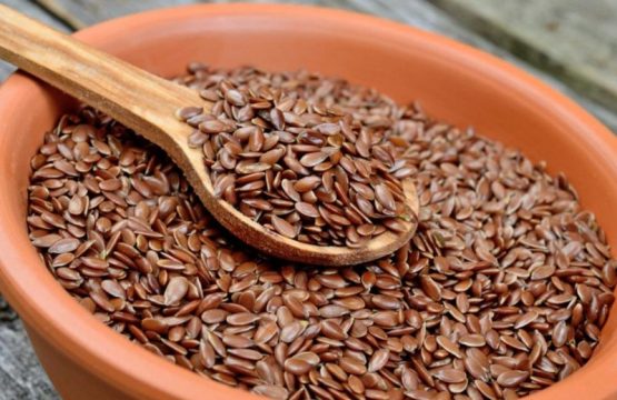 अलसी खाने के स्वास्थ्य लाभ