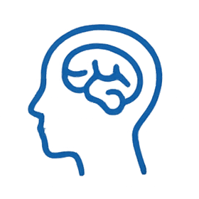 Memory and Brain
