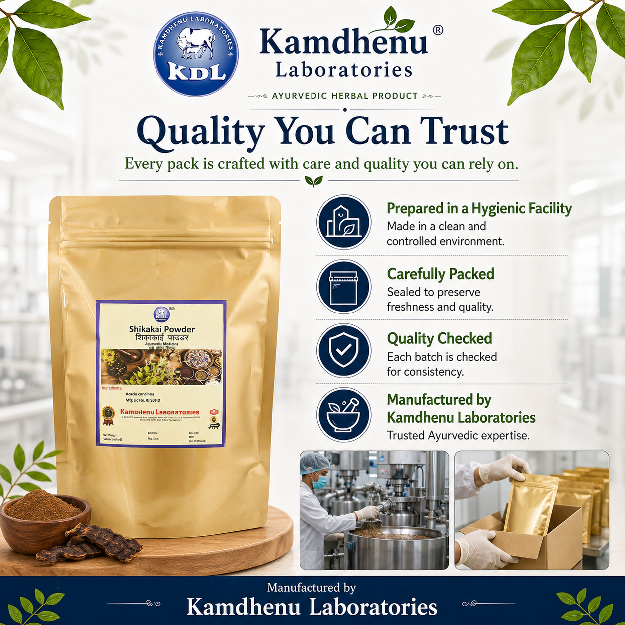 Shikakai Powder hygienic manufacturing, quality checking and careful packaging